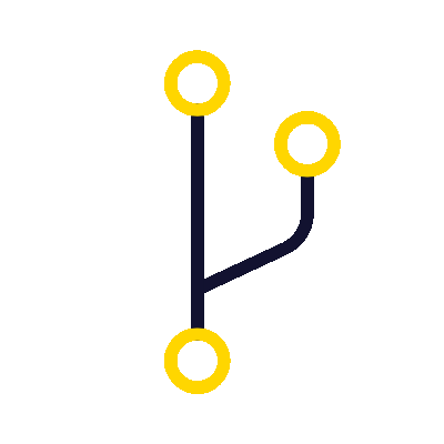 Customs Icon